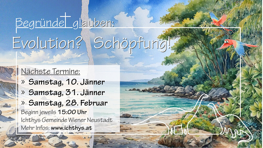 Seminar Schöpfung oder Evolution