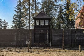 20-Auschwitz2019.jpg